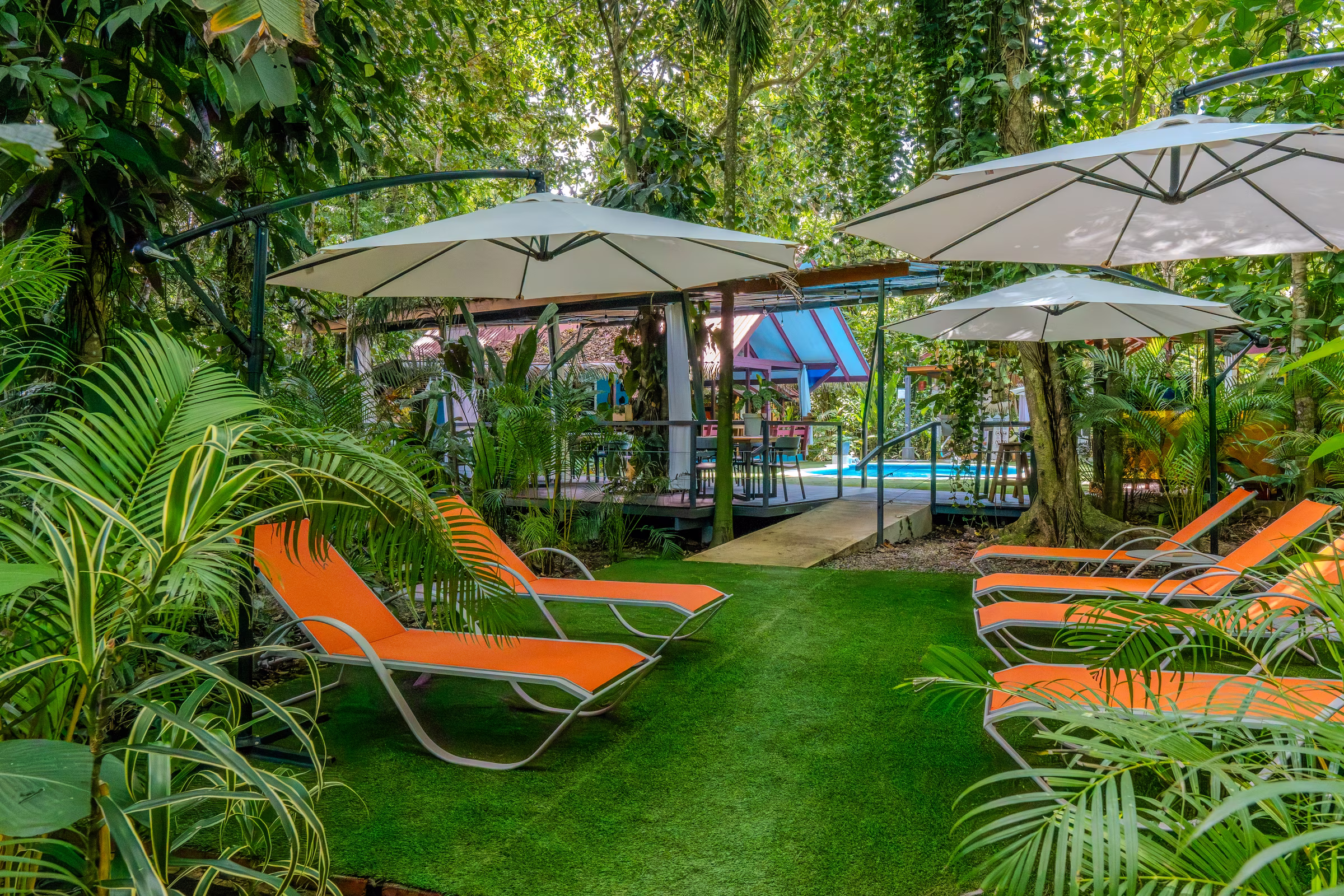 Orange sun loungers and parasols on the lawn beside the pool