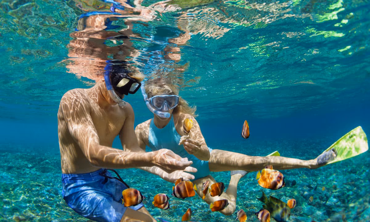 Snorkeling & Diving