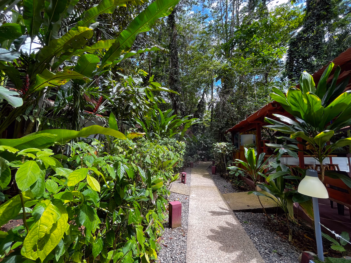 Namuwoki Lodge bungalows built around existing trees in the rainforest