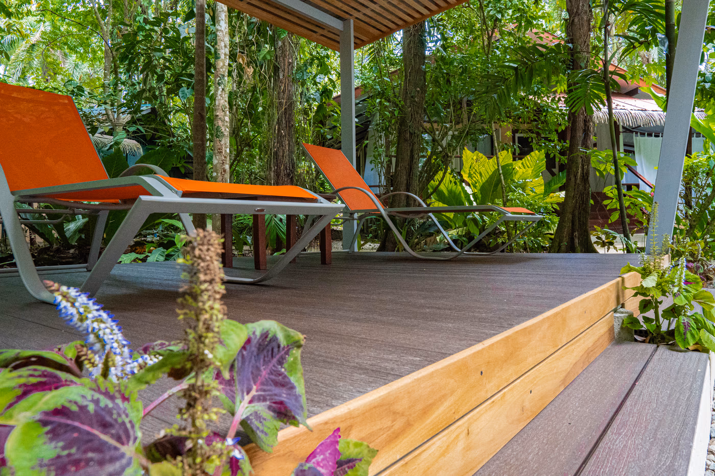 Lodge terrace nestled within the rainforest at Namuwoki Lodge, Playa Chiquita