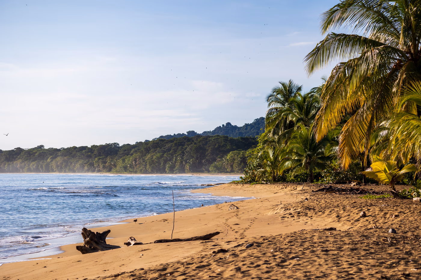 Caribbean beach view 1