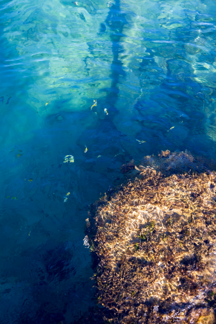 Coral reef and snorkeling 3
