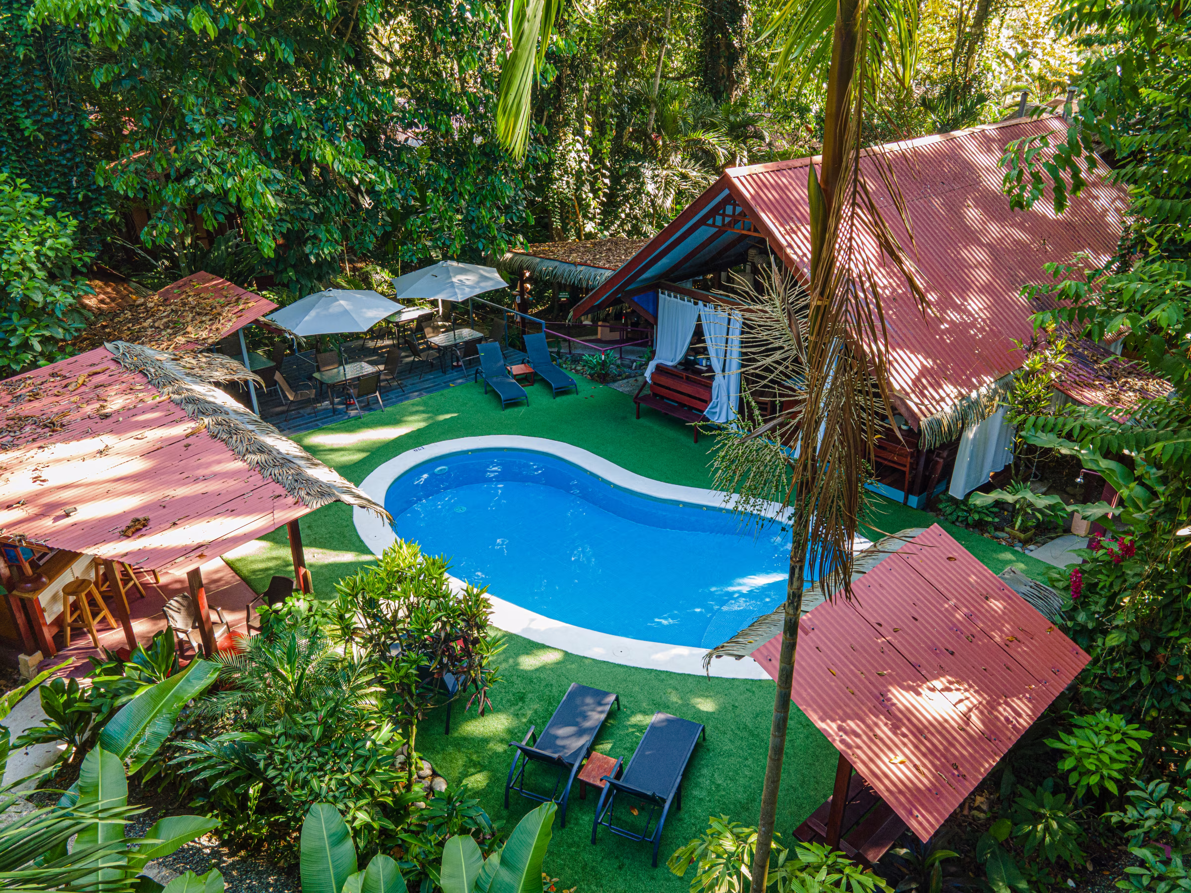 Aerial view of the curved pool, lawn and thatched roofs among the trees